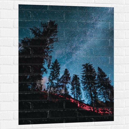 WallClassics - Muursticker - Onderaanzicht van Hoge Donkere Bomen onder Heldere Sterrenhemel - 75x100 cm Foto op Muursticker
