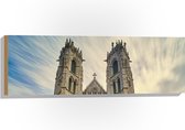 Hout - De Kathedraalbasiliek van het Heilig Hart, New Jersey - 90x30 cm - 9 mm dik - Foto op Hout (Met Ophangsysteem)