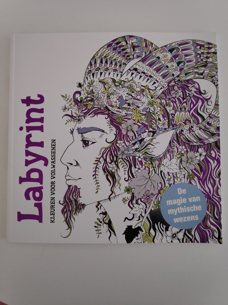 Labyrint - Kleuren voor volwassenen - Kleurboek voor volwassenen