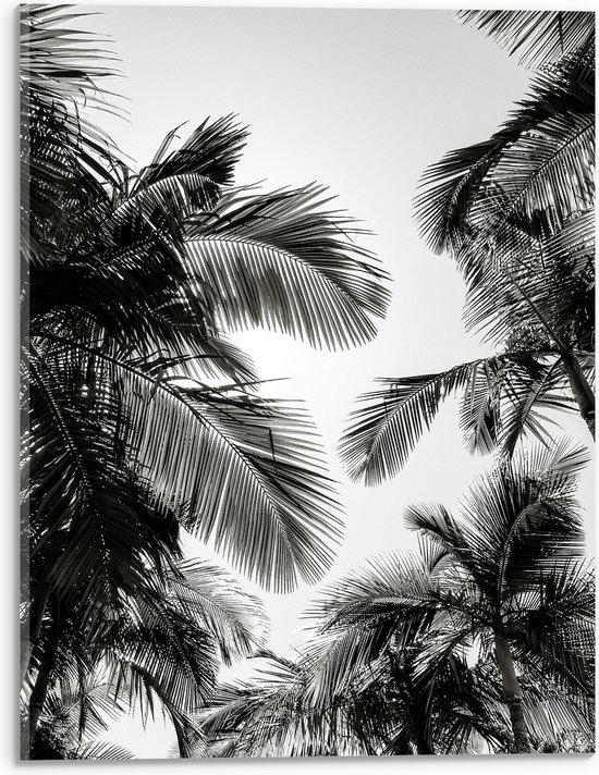 WallClassics - Acrylglas - Zwart/ Witte Palmbladeren - 30x40 cm Foto op Acrylglas (Met Ophangsysteem)
