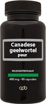 Apb Holland Canadese geelwortel 480 mg puur 90 vcaps