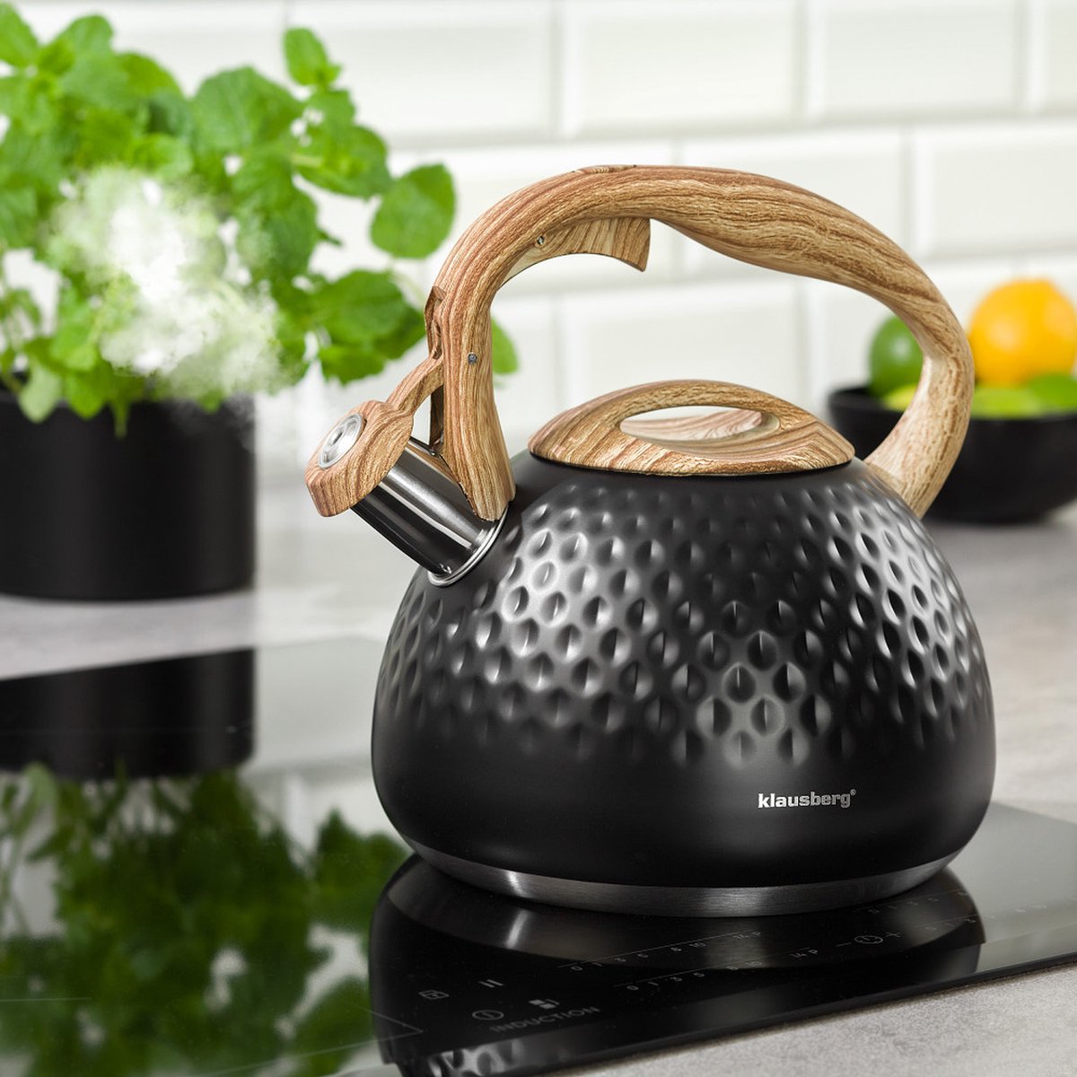 Klausberg KB-7263 - fluitketel - 3L - rvs - alle warmtebronnen
