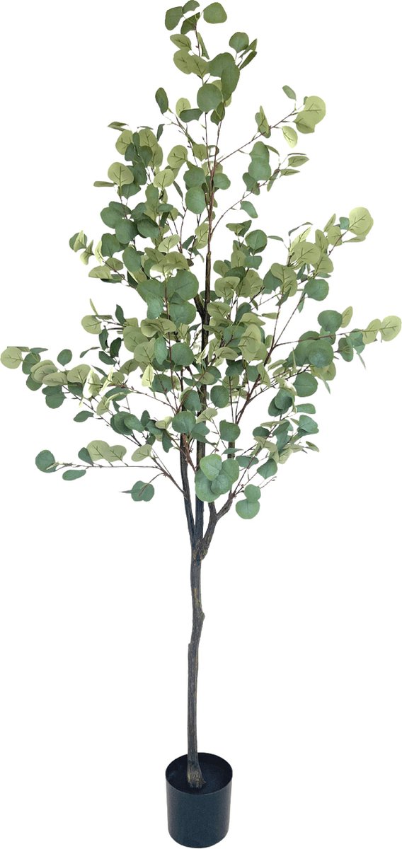 Eucalyptus Kunstplant 180 cm | Eucalyptus Kunstboom | Grote Kunstplanten | Kunstplanten voor Binnen