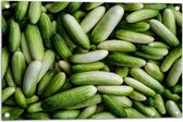 Tuinposter – Hoopje Groene Komkommers - 75x50 cm Foto op Tuinposter (wanddecoratie voor buiten en binnen)