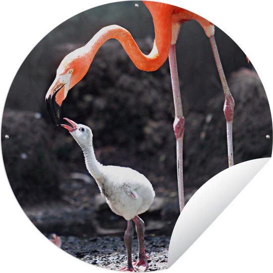Tuincirkel Moeder flamingo voedt haar baby - 120x120 cm - Ronde Tuinposter - Buiten XXL / Groot formaat!