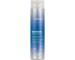 Joico - Moisture Recovery Shampoo