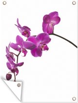 Muurdecoratie buiten Orchidee tegen witte achtergrond - 120x160 cm - Tuindoek - Buitenposter