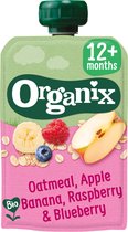 Organix - Knijpfruit - Havermout, Appel, Banaan, Framboos & Bosbes - 12+ maanden - 100 gram