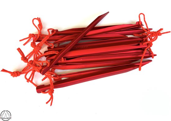 Umefa B.V. 64061.00 Piquets De Tente Avec Œillets - Lot De 10 Piquets 24 Cm Acier Galvanisé