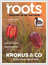Roots editie 3 2023 - 73 toplocaties voor het spotten van stinsenplanten - Wandeling langs Sallandse landgoederen - 100 pagina's