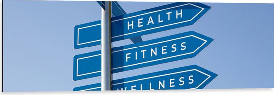 Dibond - ''Health, Fitness & Wellness'' Wegwijzer Bordjes - 120x40 cm Foto op Aluminium (Wanddecoratie van metaal)