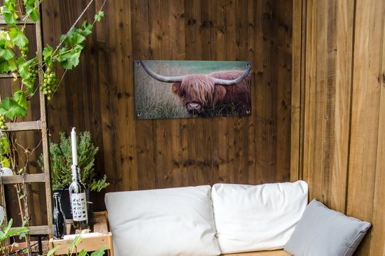 Tuinposter 80x40 cm - Tuindecoratie Schotse Hooglander - Hoorns - Gras - Poster voor in de tuin - Buiten decoratie - Schutting tuinschilderij - Tuindoek muurdecoratie - Wanddecoratie balkondoek