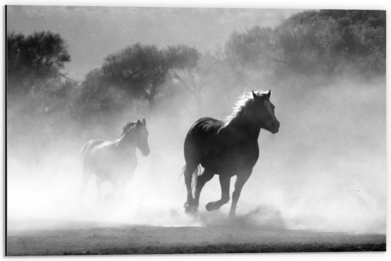 WallClassics - Dibond - Galoperende Paarden bij het Bos (Zwart-wit) - 60x40 cm Foto op Aluminium (Wanddecoratie van metaal)