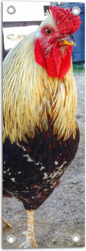 WallClassics - Poster de jardin - Grand coq sur une jambe - 20 x 60 cm Photo sur poster de jardin (décoration murale pour l'extérieur et l'intérieur)