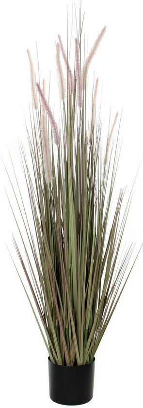 Mica Decorations dogtail grass violet en pot plastique d17 - 15