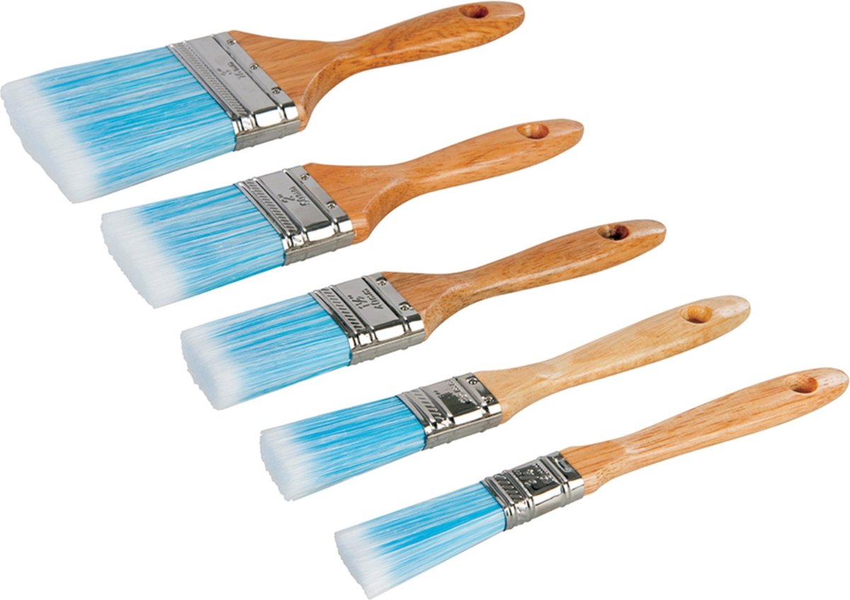 Goedkoopste Silverline Synthetische schilderskwasten set - 5 delig - diverse maten - roestvrij stalen ring