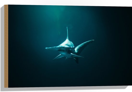WallClassics - Hout - Hamerhaai onder in het Water - 60x40 cm - 9 mm dik - Foto op Hout (Met Ophangsysteem)