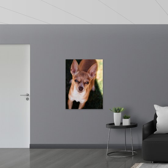 WallClassics - Drapeau - Puppy chihuahua aux yeux plissés - Photo sur drapeau polyester 75 x 100 cm