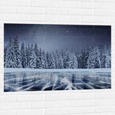 Muursticker - Heldere Sterrenhemel boven Dichtbegroeid Bos in Sneeuw Landschap - 105x70 cm Foto op Muursticker