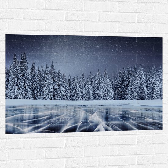 Muursticker - Heldere Sterrenhemel boven Dichtbegroeid Bos in Sneeuw Landschap - 105x70 cm Foto op Muursticker