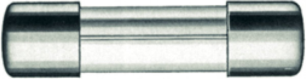 Zekering 4A 5x20mm à 10 stuks