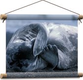 WallClassics - Affiche Textile - Sceau Gêné - 40x30 cm Photo sur Textile