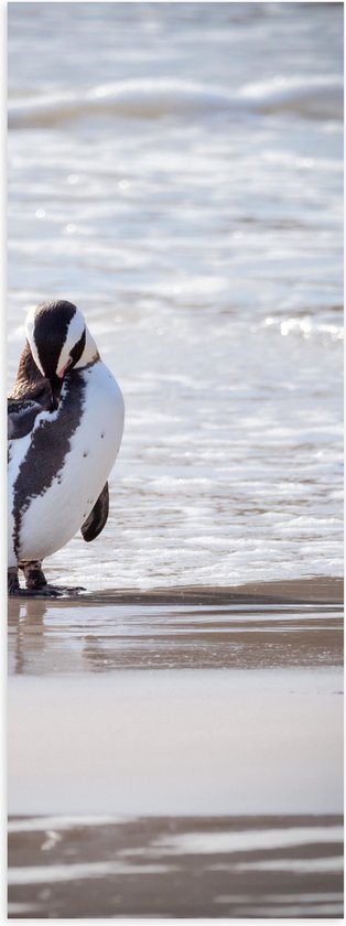 Poster Glanzend – Pinguïn met open Vleugel bij het Strand - 20x60 cm Foto op Posterpapier met Glanzende Afwerking