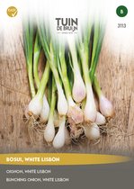 Graines Jardin de Bruijn® - Ciboule White de Lisbonne
