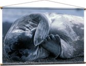 WallClassics - Affiche Textile - Sceau Gêné - 120x80 cm Photo sur Textile