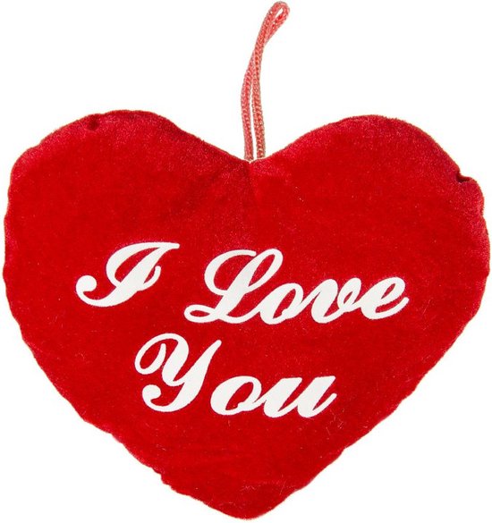 Foto: Pluche rood hart kussen i love you 22 cm