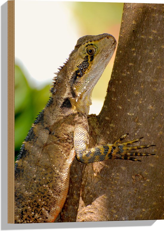 WallClassics - Bois - Reptile dans un Arbre - 40x60 cm - 9 mm d'épaisseur - Photo sur Bois (Avec Système d'accrochage)