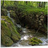 Dibond - Kleine Watervallen Stromend in Riviertje in het Bos - 100x100 cm Foto op Aluminium (Wanddecoratie van metaal)