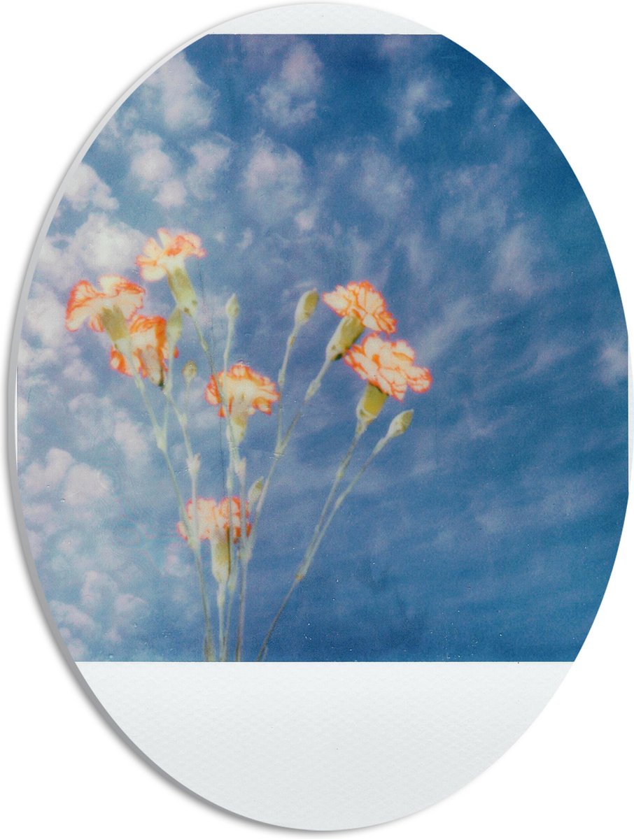 PVC Schuimplaat Ovaal - Polaroid Foto van Klein Groepje Bloemen onder Sluierbewolking - 30x40 cm Foto op Ovaal (Met Ophangsysteem)