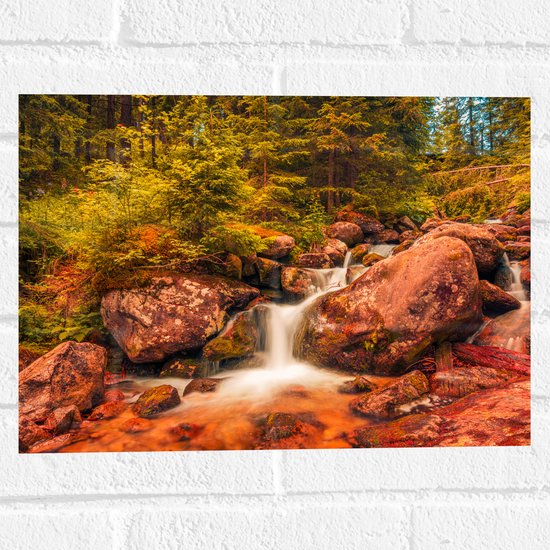 Muursticker - Kleine Waterval door het Bos vol Bomen en Keien - 40x30 cm Foto op Muursticker