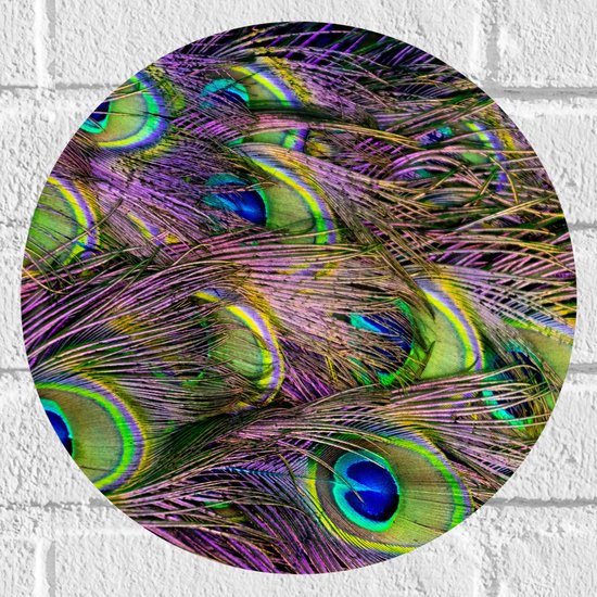 Muursticker Cirkel - Gekleurde Pauwen Veren - 30x30 cm Foto op Muursticker