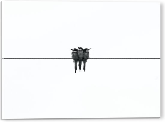 WallClassics - Acrylglas - Trio Vogels op Zwarte Lijn - 40x30 cm Foto op Acrylglas (Met Ophangsysteem)