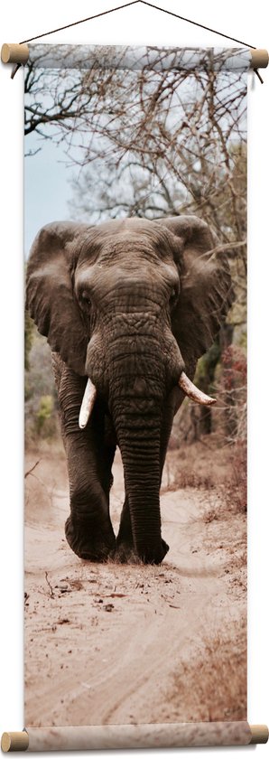 WallClassics - Textielposter - Vooruitlopende Olifant op Droog Bospad - 30x90 cm Foto op Textiel