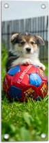 WallClassics - Tuinposter – Hondje Speelt met een Voetbal - 20x60 cm Foto op Tuinposter (wanddecoratie voor buiten en binnen)