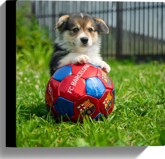 WallClassics - Canvas - Hondje Speelt met een Voetbal - 30x30 cm Foto op Canvas Schilderij (Wanddecoratie op Canvas)