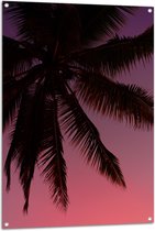 WallClassics - Tuinposter – Silhouette van een Palmboom bij Roze Lucht - 80x120 cm Foto op Tuinposter (wanddecoratie voor buiten en binnen)
