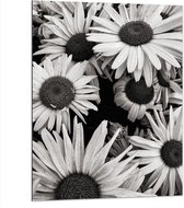 WallClassics - Dibond - Zwart Wit Foto van Zonnebloemen - 75x100 cm Foto op Aluminium (Wanddecoratie van metaal)