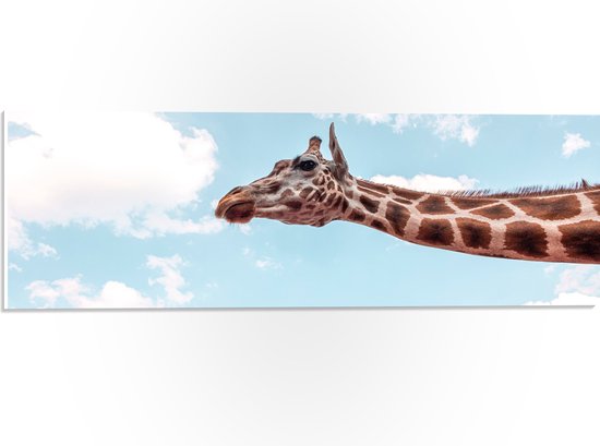 WallClassics - PVC Schuimplaat - Giraf in de Lucht - 60x20 cm Foto op PVC Schuimplaat (Met Ophangsysteem)