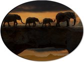 WallClassics - Dibond Ovaal - Olifanten op een Rots - 28x21 cm Foto op Ovaal (Met Ophangsysteem)