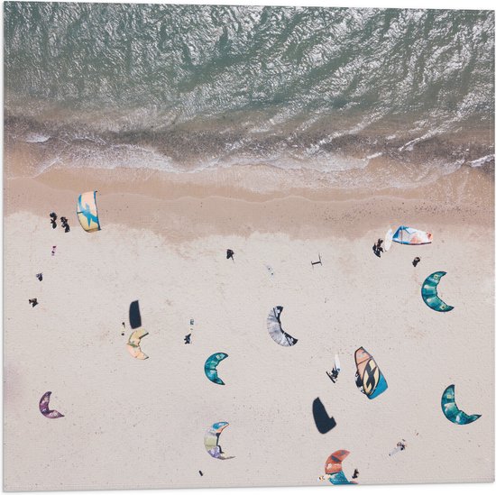 WallClassics - Drapeau - Planche à voile sur la plage - Photo 50x50 cm sur drapeau polyester