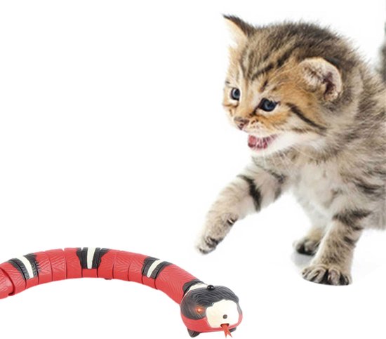 Interactieve kattenspeelbal met USB-C