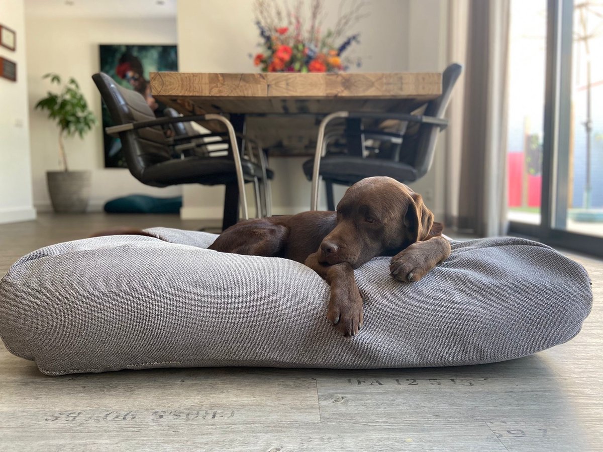 Dog's Companion - Hondenkussen / Hondenbed tweed grey - XS - 55x45cm