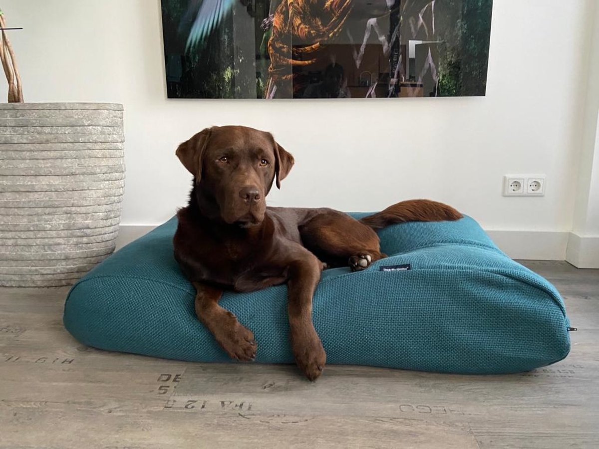 Dog's Companion Hondenkussen / Hondenbed - XS - 55 x 45 cm - Copenhagen Petrol