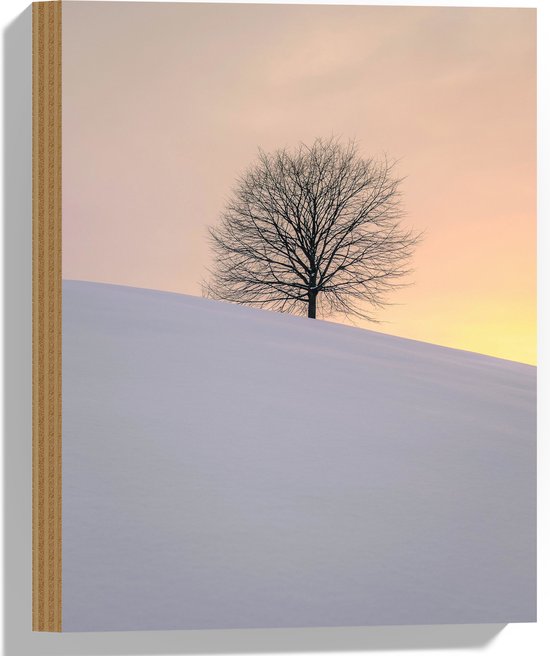 WallClassics - Hout - Kale Boom op Besneeuwde Heuvel - 30x40 cm - 9 mm dik - Foto op Hout (Met Ophangsysteem)