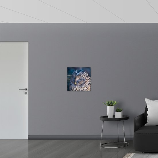 Poster (Mat) - Slapende Uil - 50x50 cm Foto op Posterpapier met een Matte look