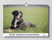 Grote Zwitserse Sennenhond kalender 35x24 cm | Verjaardagskalender Grote Zwitserse Sennenhond honden | Verjaardagskalender Volwassenen